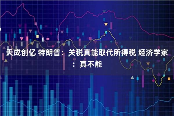 天成创亿 特朗普：关税真能取代所得税 经济学家：真不能