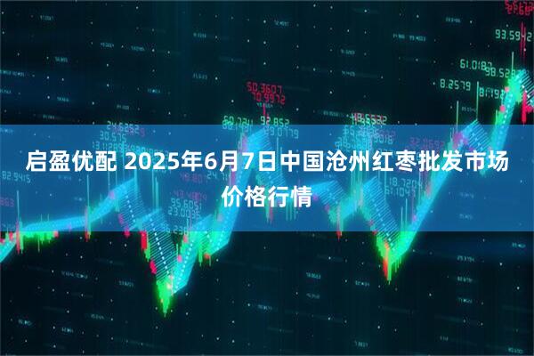 启盈优配 2025年6月7日中国沧州红枣批发市场价格行情