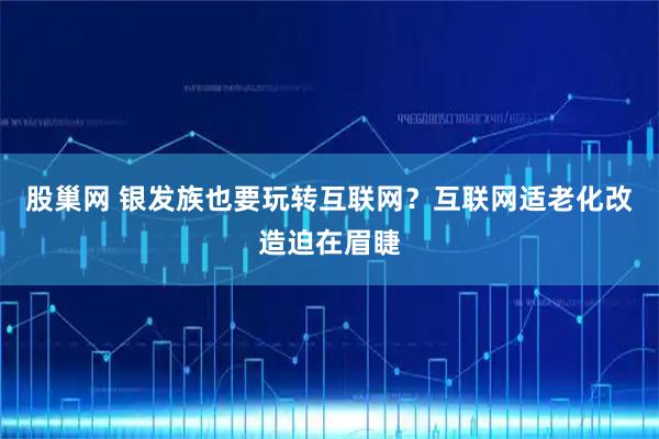 股巢网 银发族也要玩转互联网？互联网适老化改造迫在眉睫